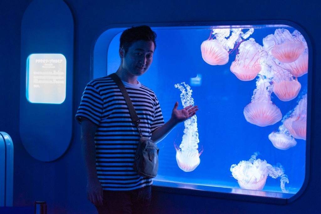 新江の島水族館 おでかけ