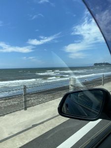 新江の島水族館 おでかけ