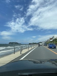 新江の島水族館 おでかけ