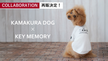 再販決定！【コラボアイテム】KAMAKURA DOG × KEY MEMORY｜Timeドッグウェア