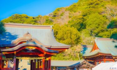 鶴岡八幡宮の御朱印・御朱印帳を詳しく紹介！